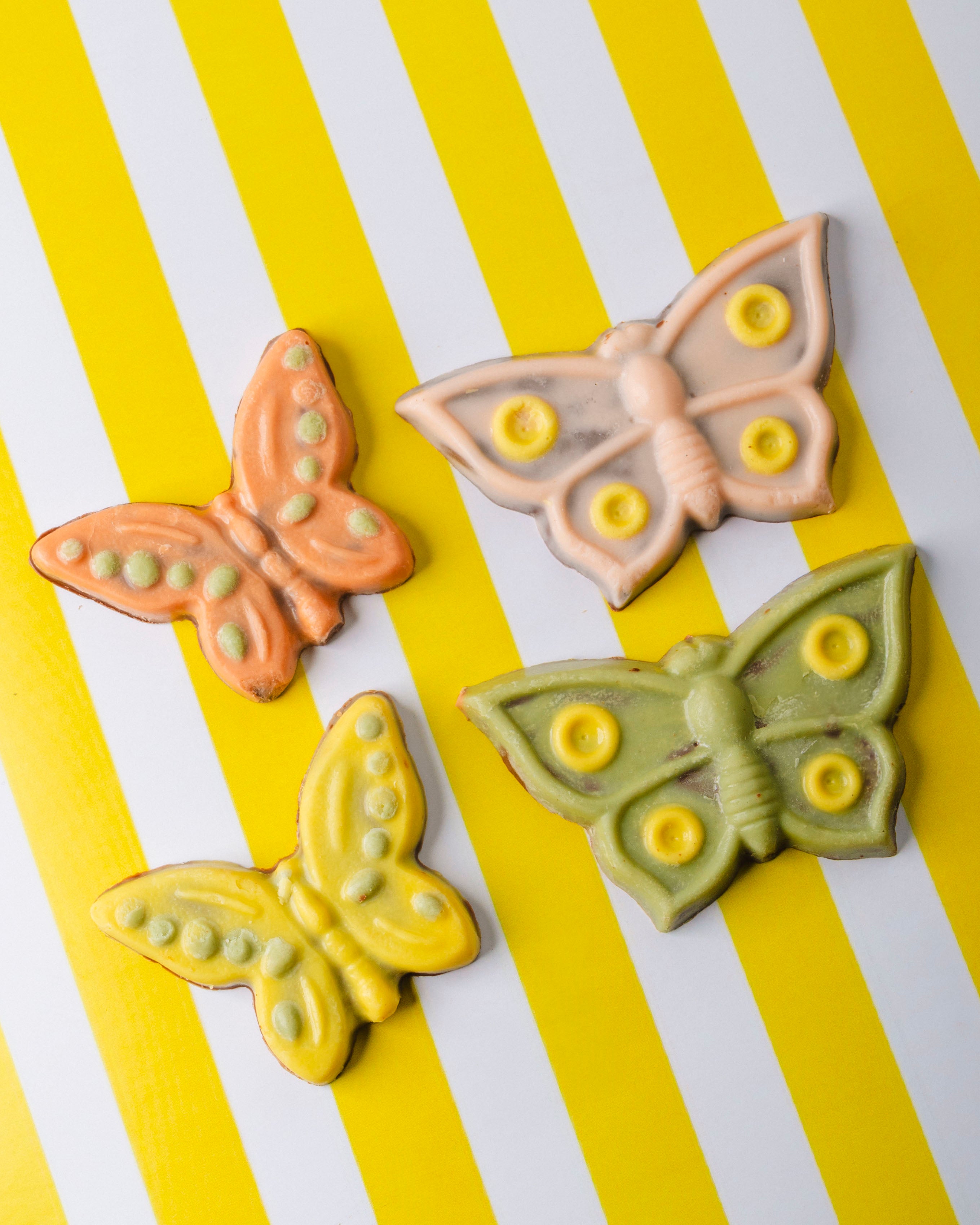 Mariposas en funditas
