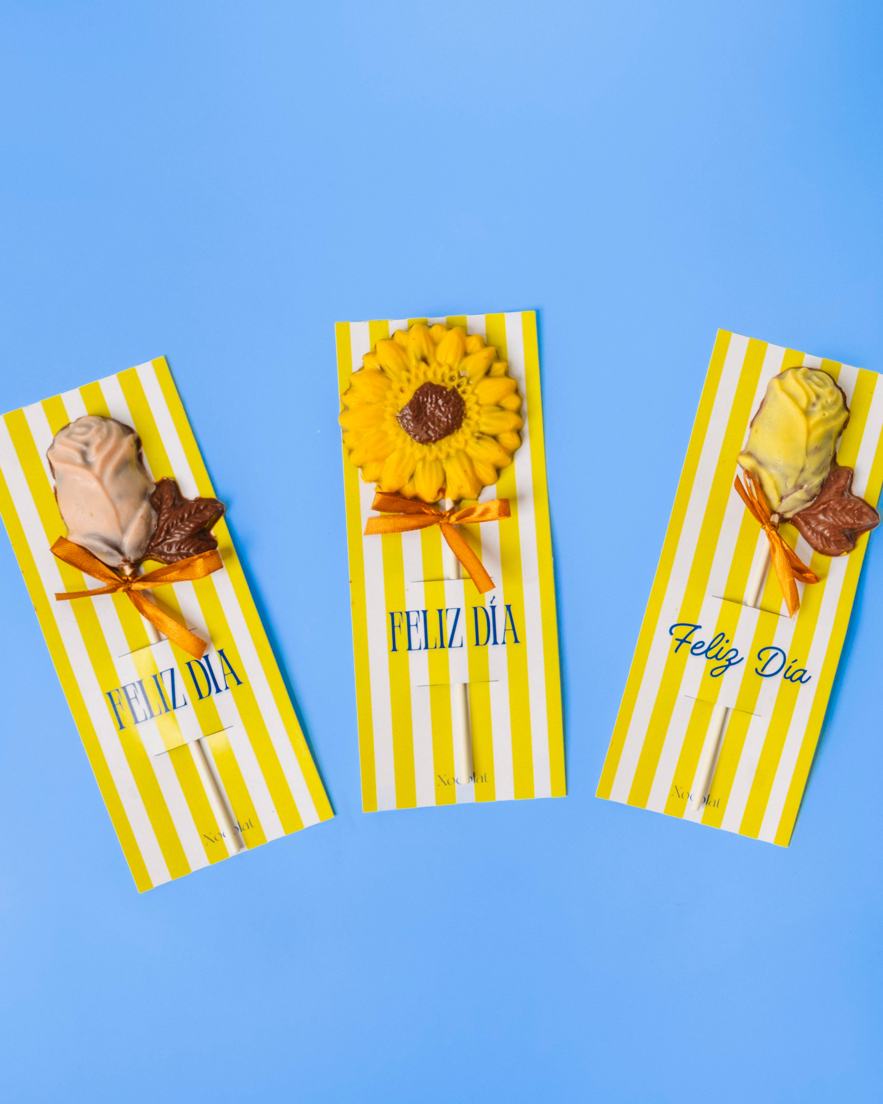 Paletas de flores en cartonsito